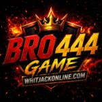 BRO444 game app download guide for Pakistan Android users with earning tips