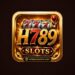 h789 game