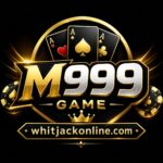 M999 Game Full Guide