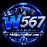 W567 Game