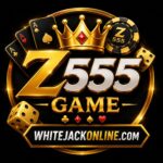 Z555 Game APK new guide for Android phones in Pakistan